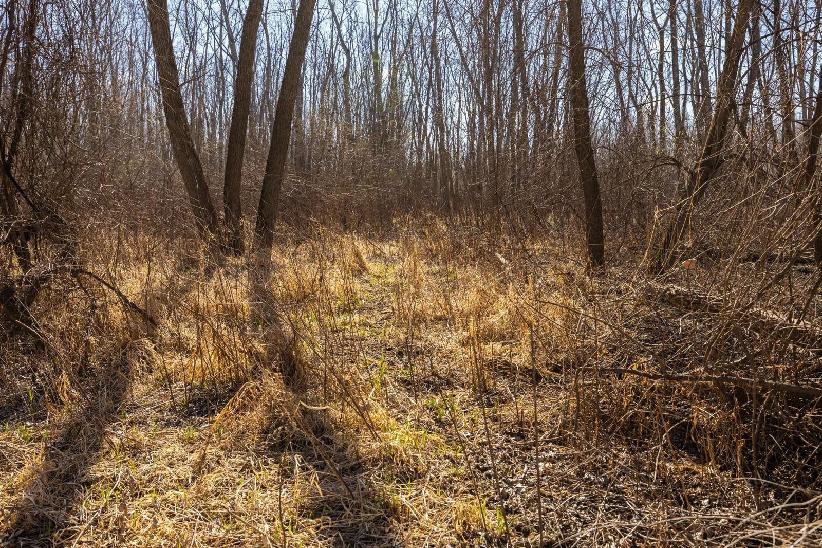 S38A9937.jpg