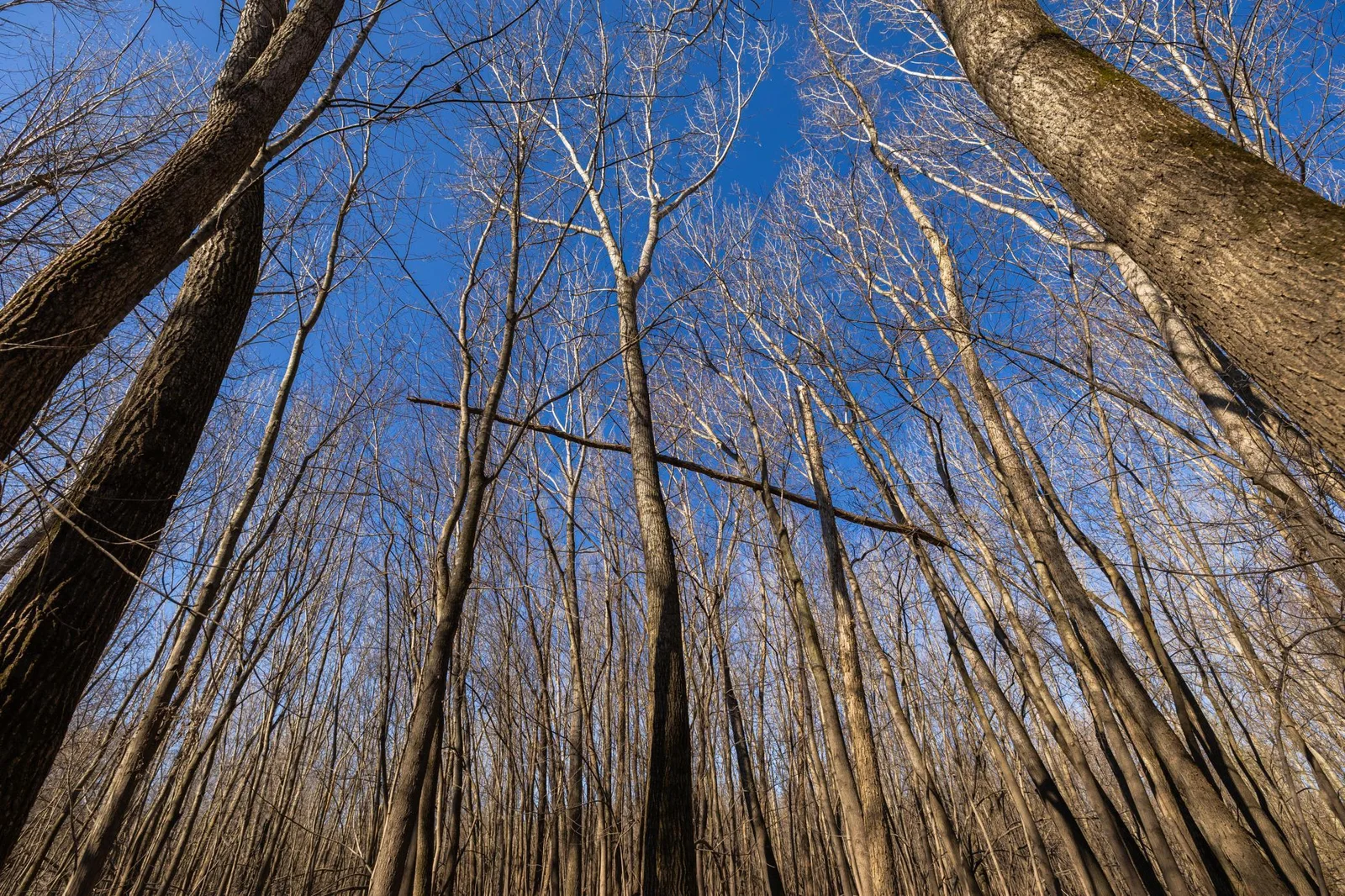 S38A9904.jpg