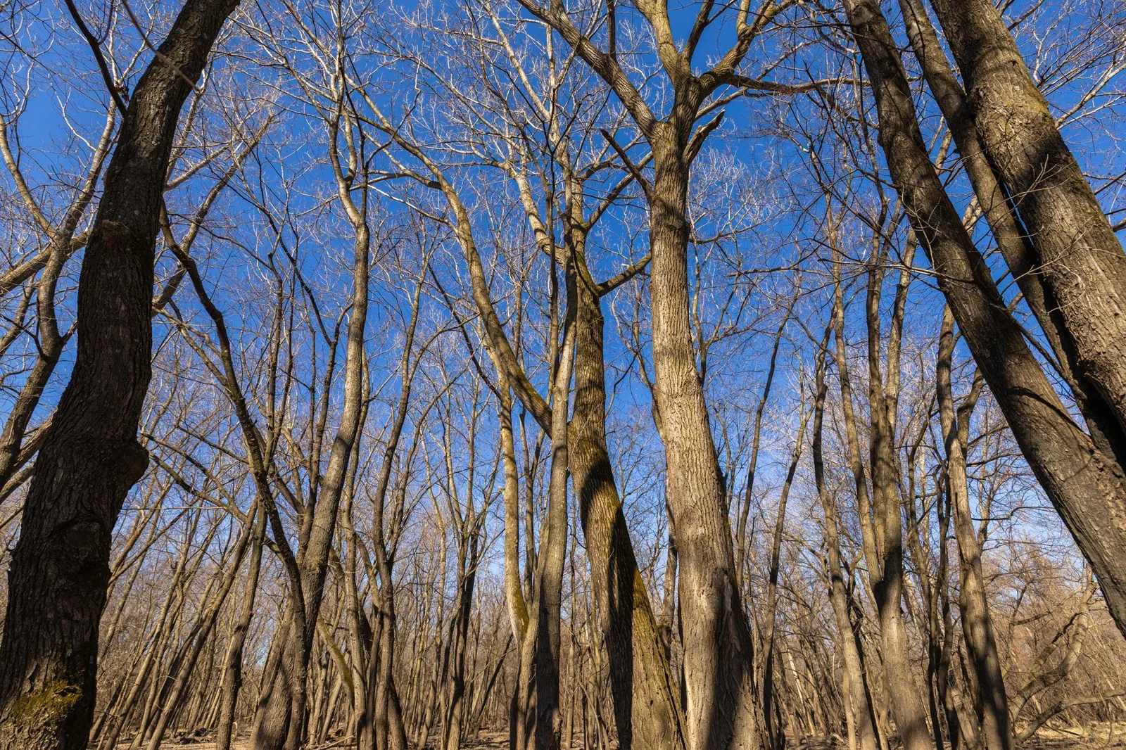 S38A9910.jpg