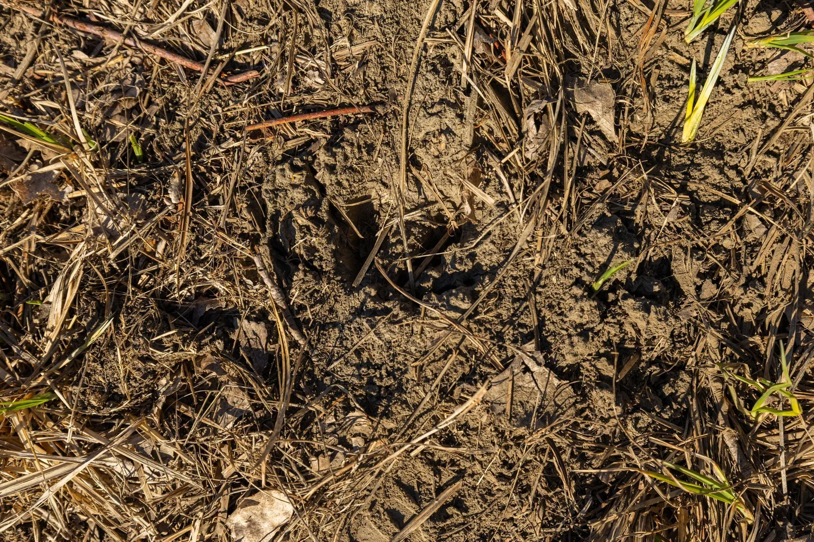 S38A9933.jpg