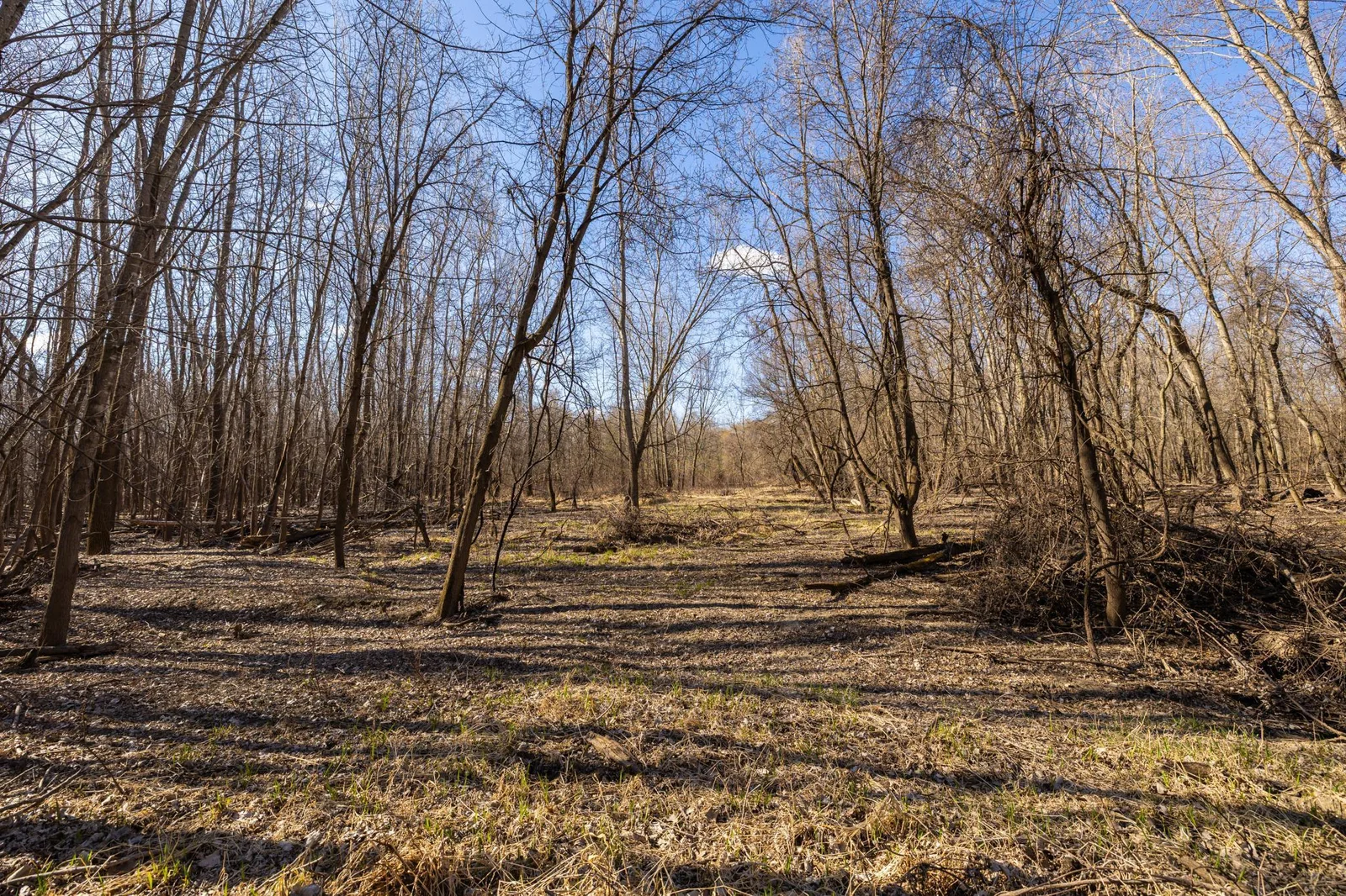 S38A9908.jpg