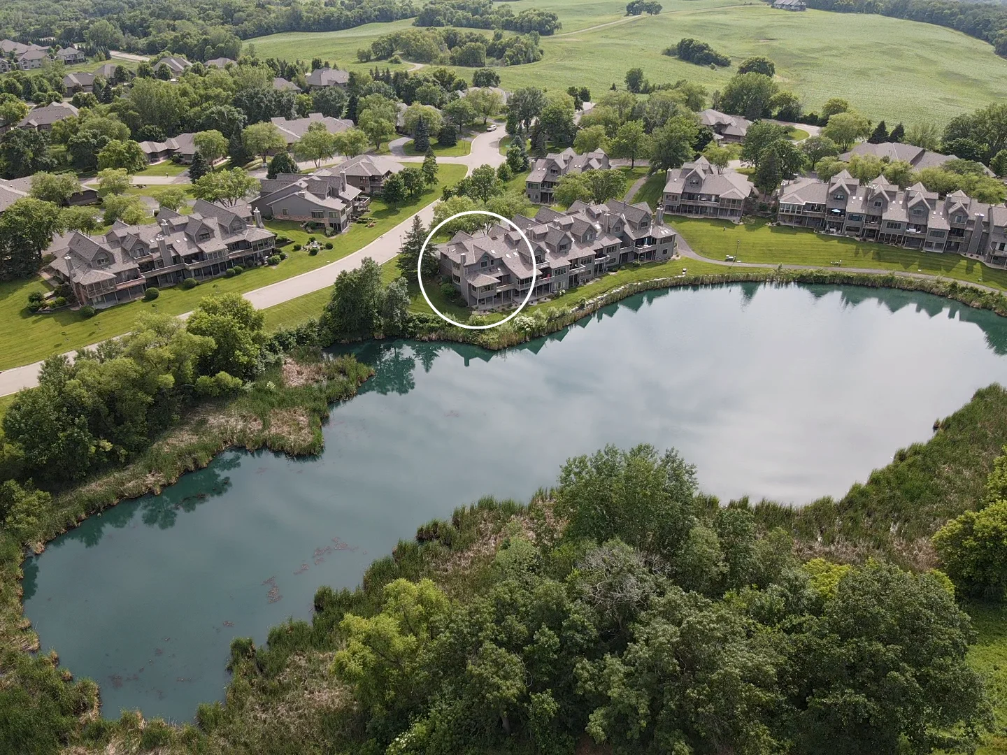 Serene pond setting