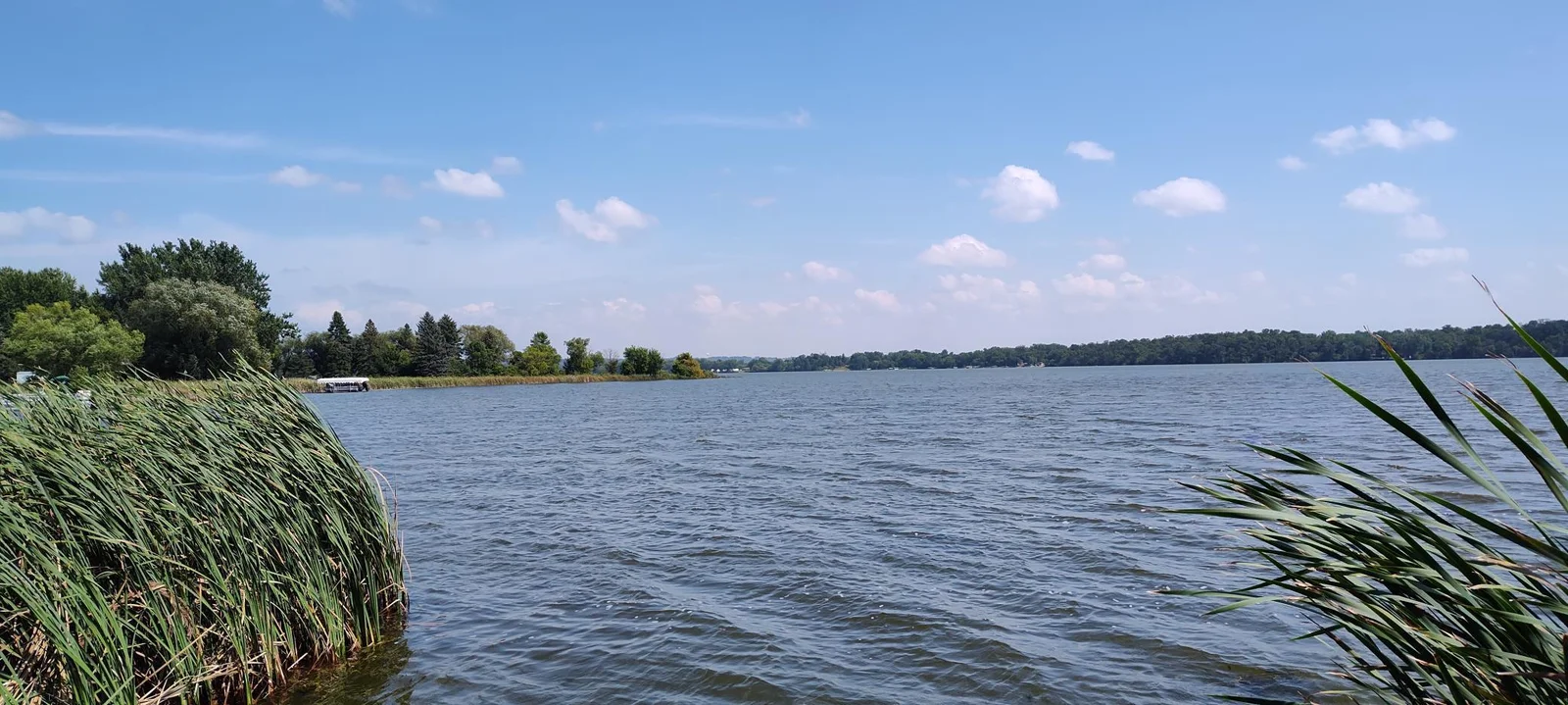 IMG_20240821_132911600.jpg