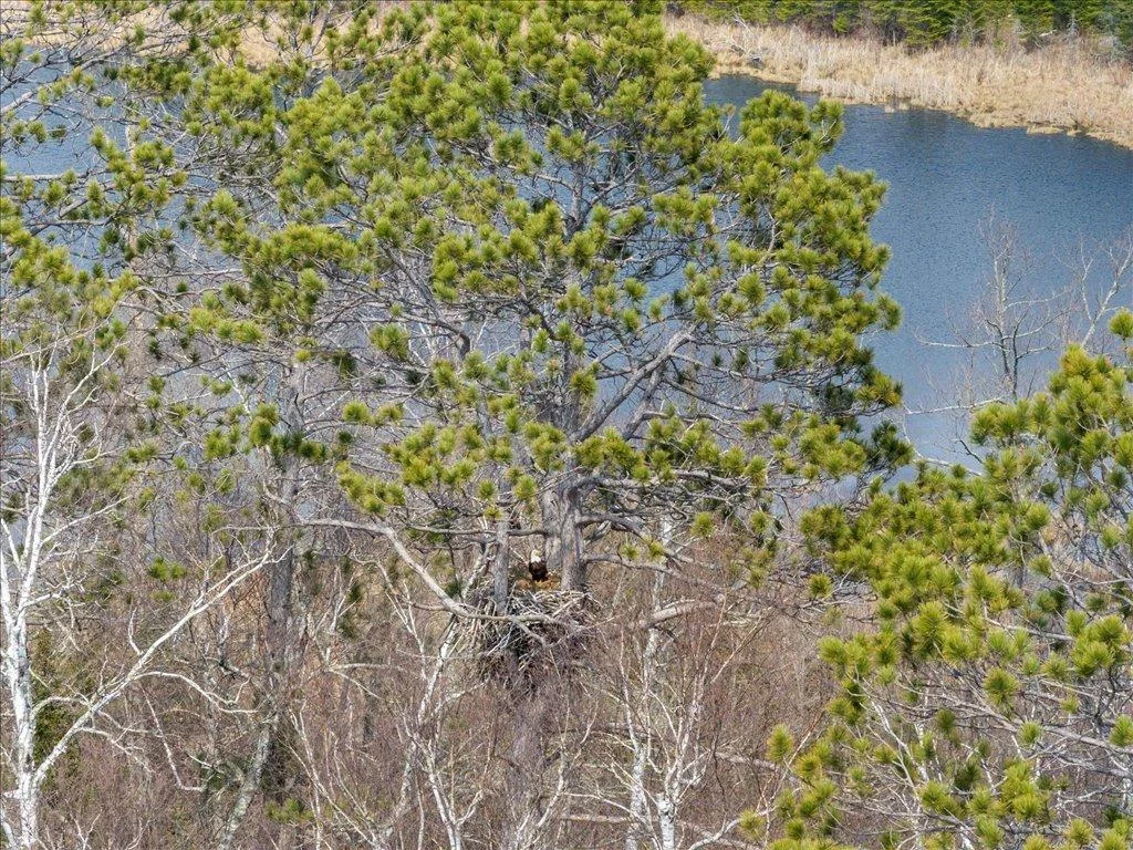 08-DJI_20250430153049_0814_D.jpg