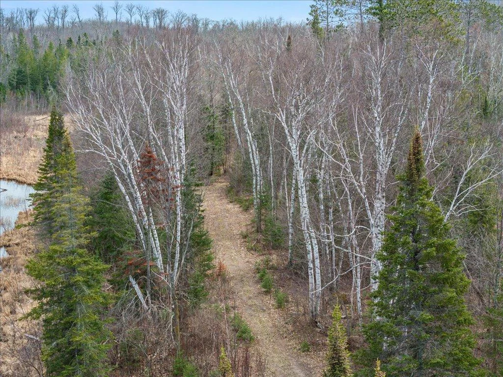 03-DJI_20250430152743_0804_D.jpg