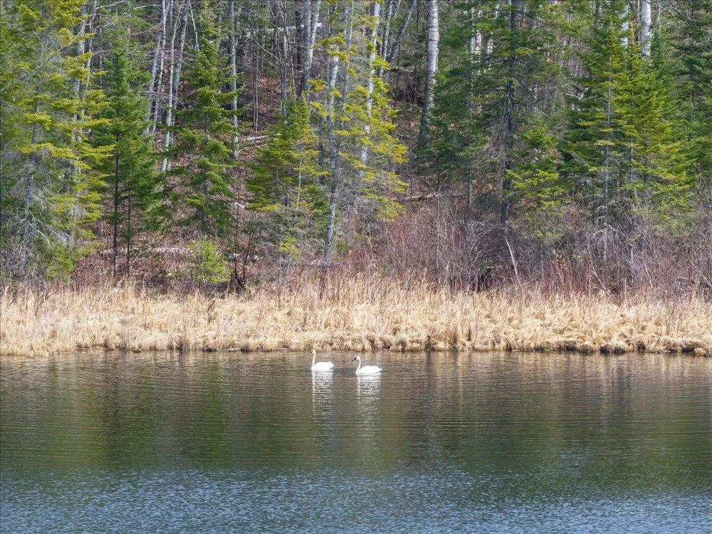 41-DJI_20250430154944_0885_D.jpg