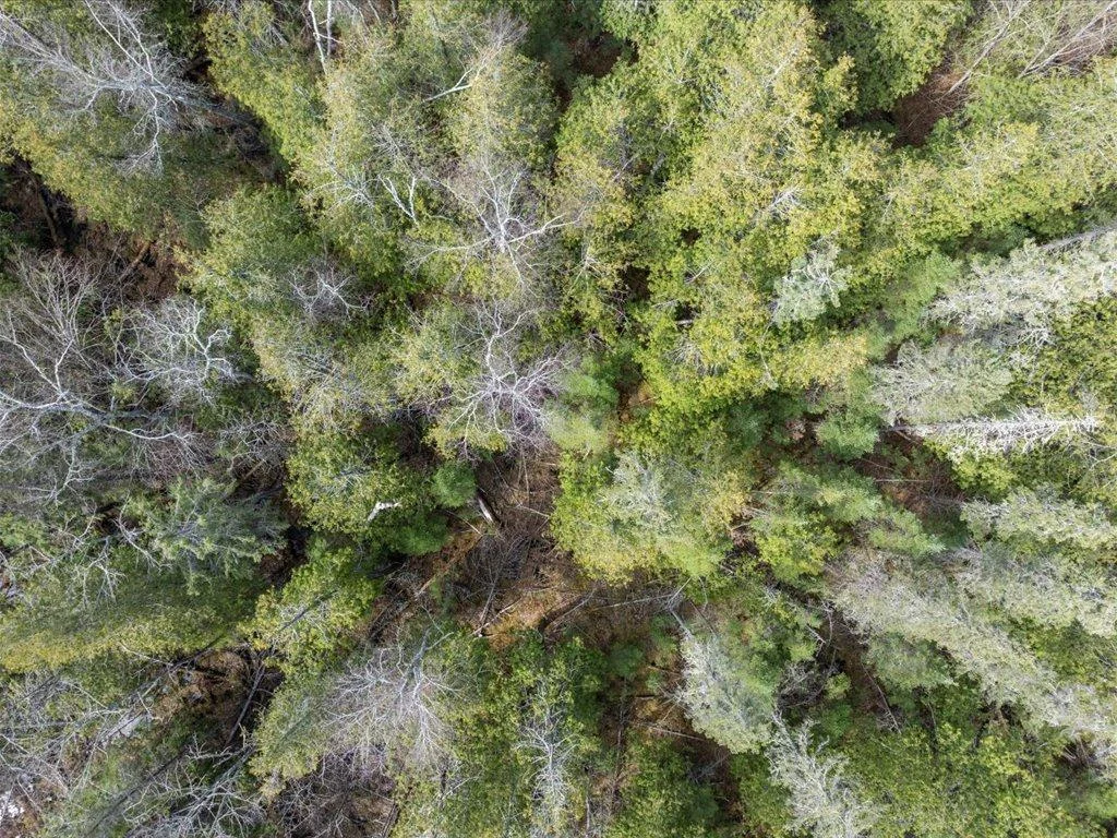 30-DJI_20250430154412_0865_D.jpg