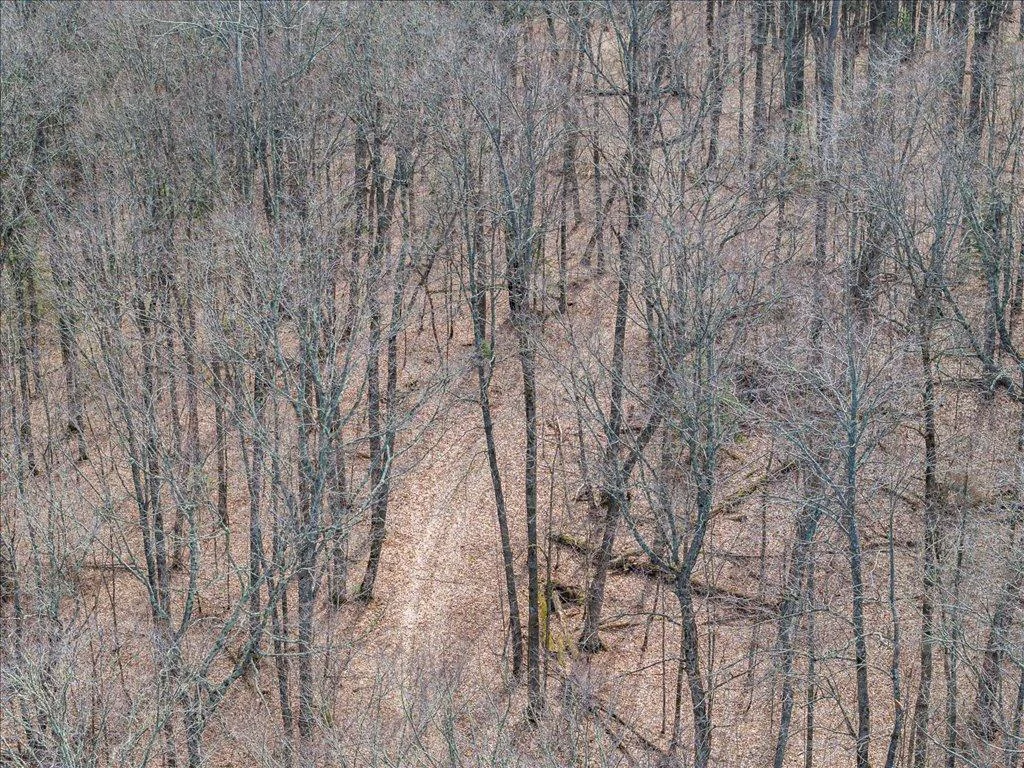 27-DJI_20250430154121_0854_D.jpg