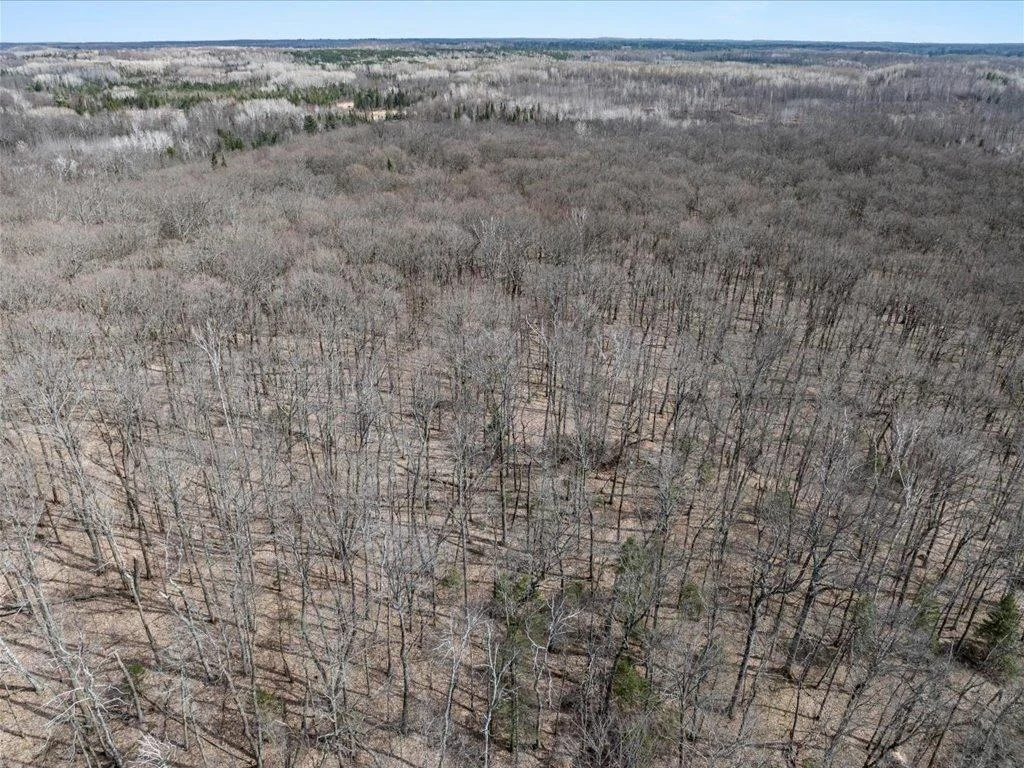 22-DJI_20250430153828_0844_D.jpg