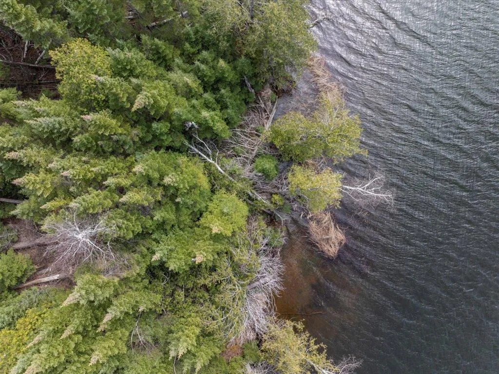 10-DJI_20250430153207_0819_D.jpg