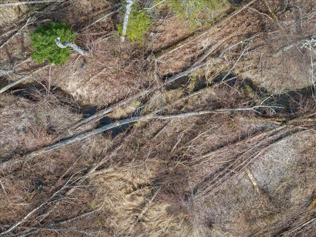 29-DJI_20250430154310_0860_D.jpg