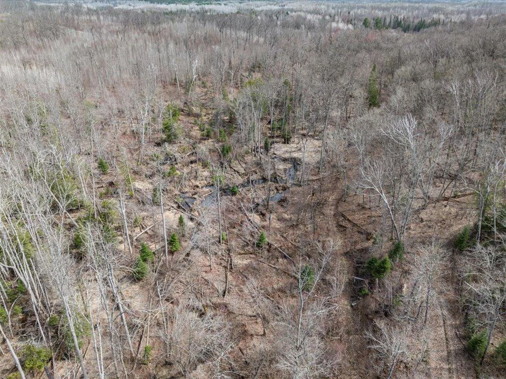 28-DJI_20250430154255_0859_D.jpg