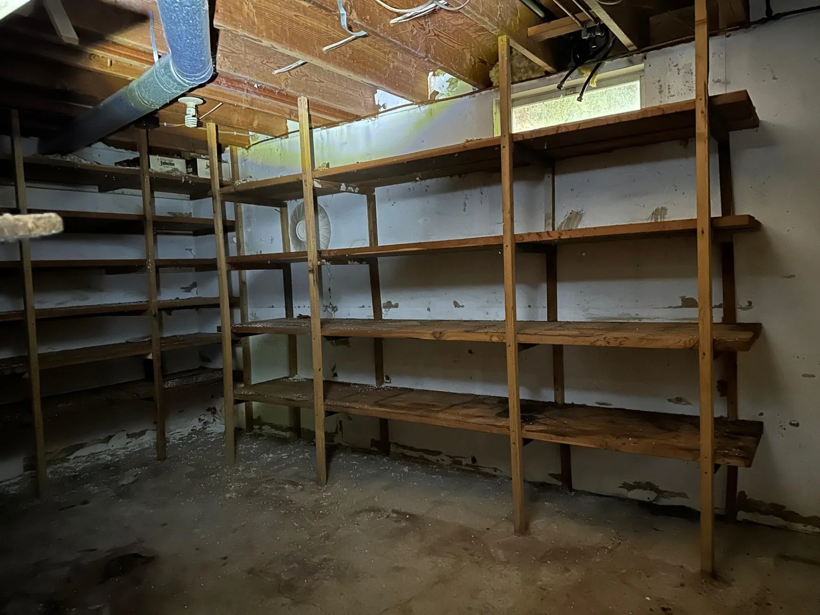 LL Storage room.jpg