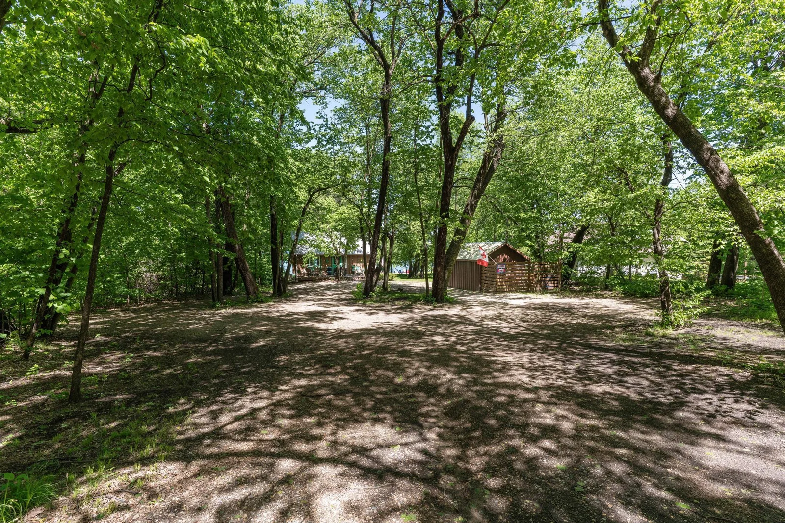 Mature Trees