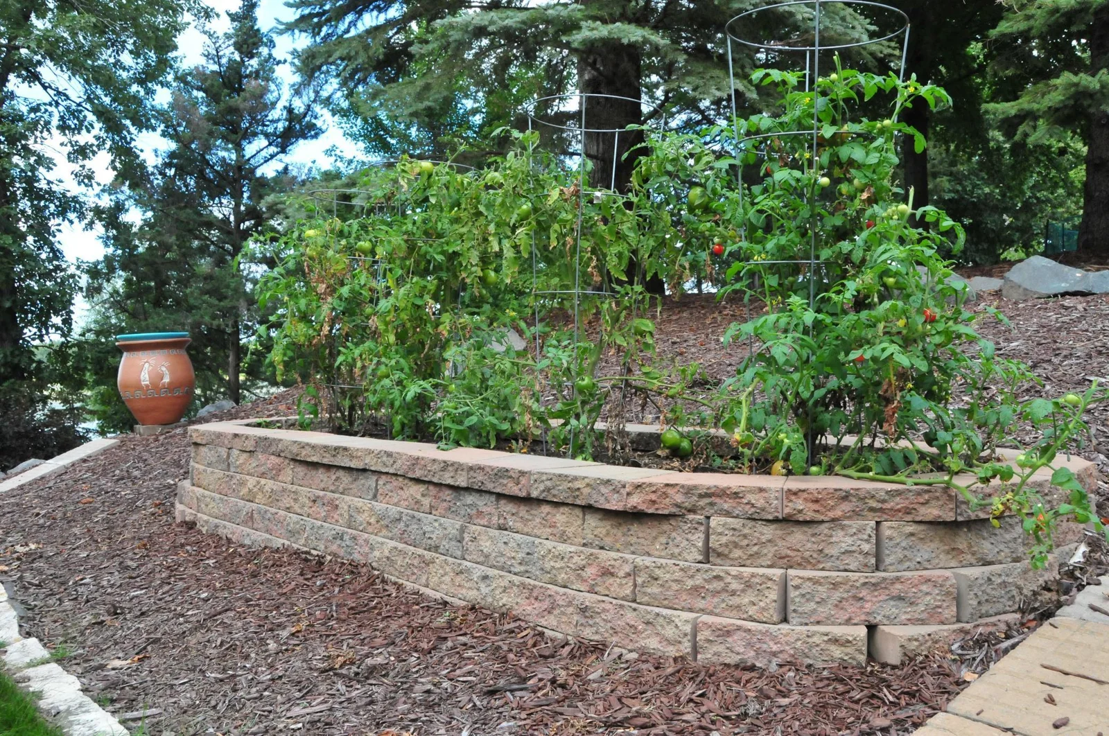 Vegetable Garden