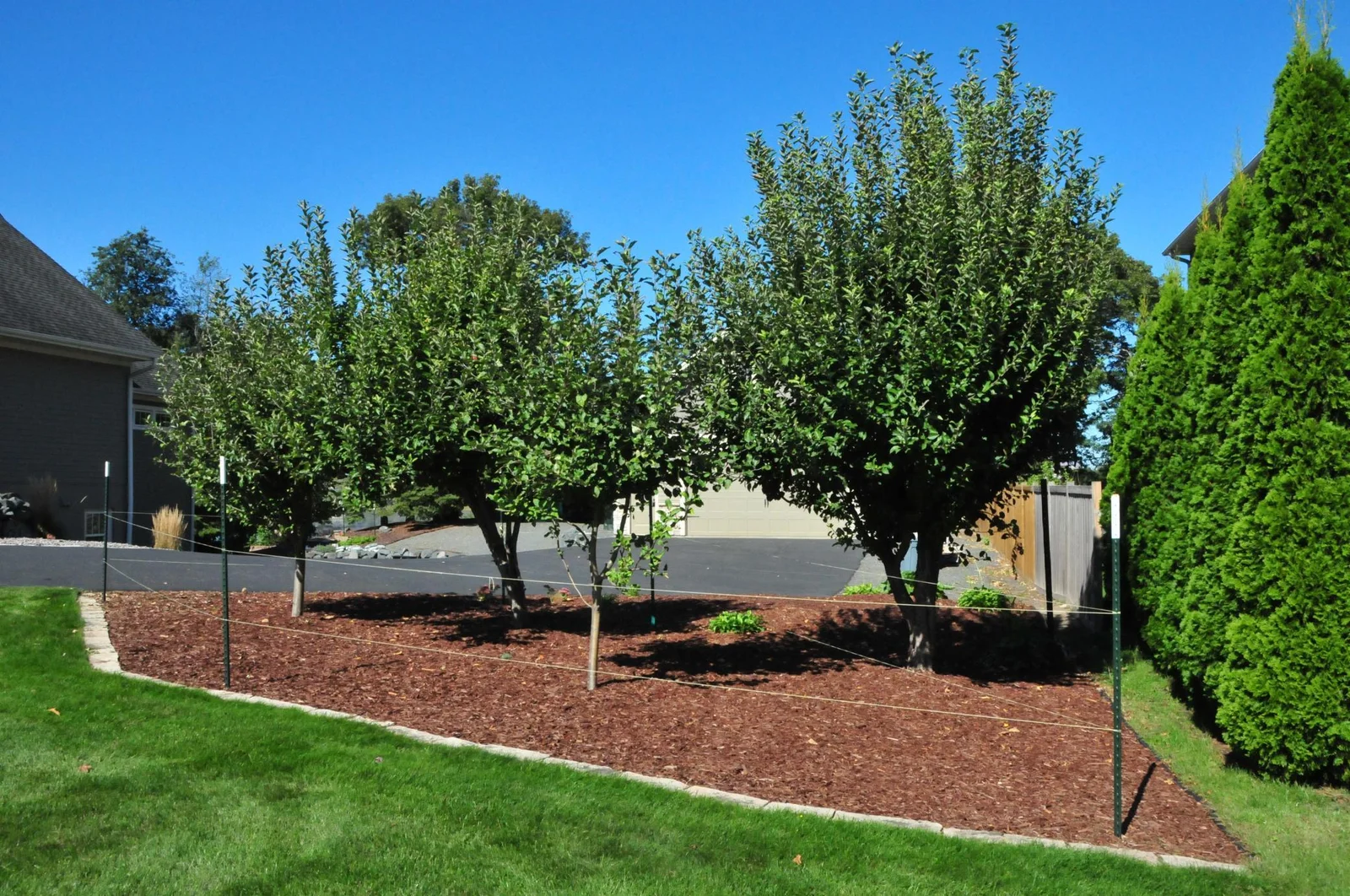 Small Orchard