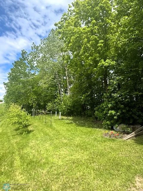 Fruit Trees planted to front of house