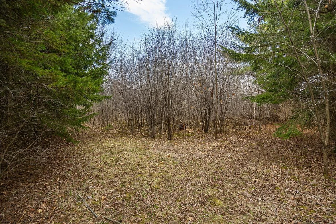 3F9A9981.jpg