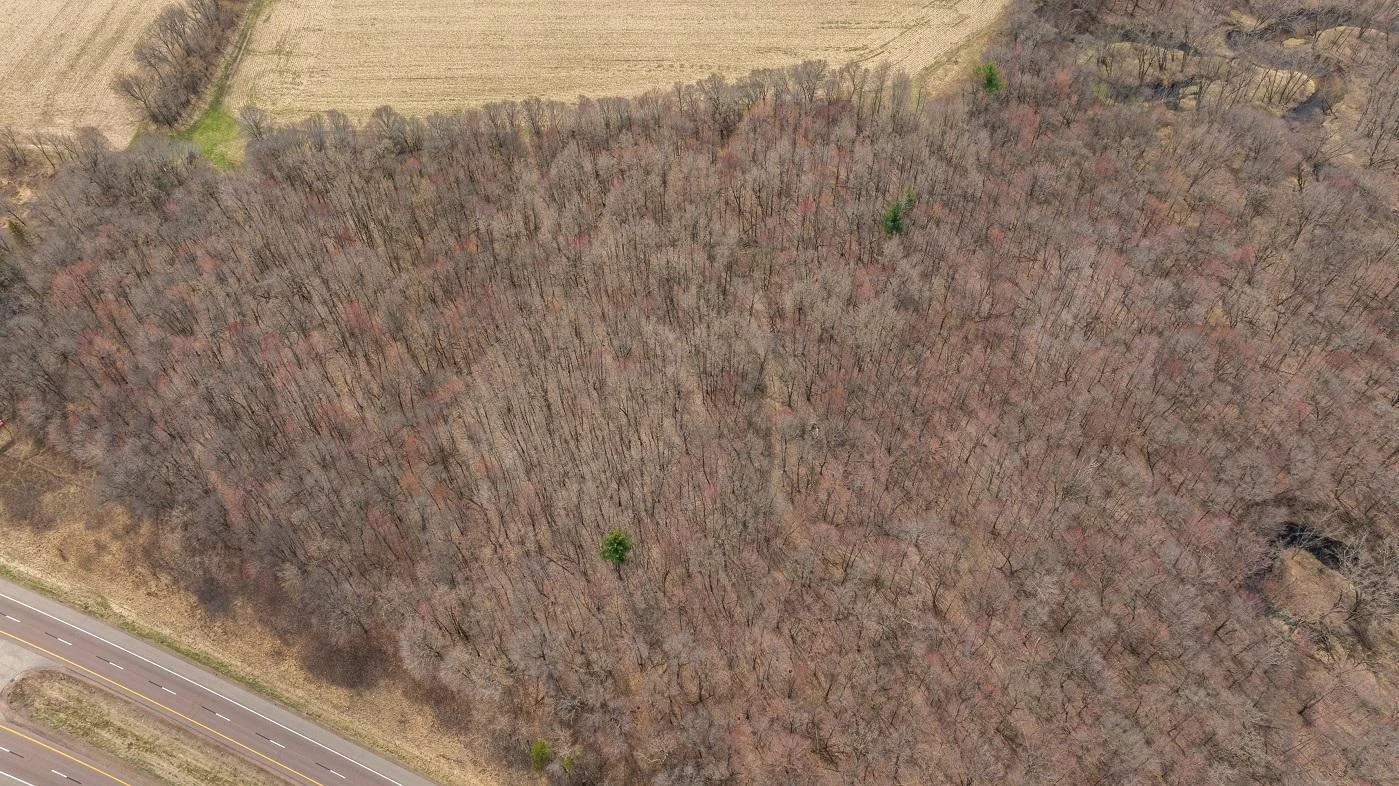 DJI_20250424114124_0692_D.jpg