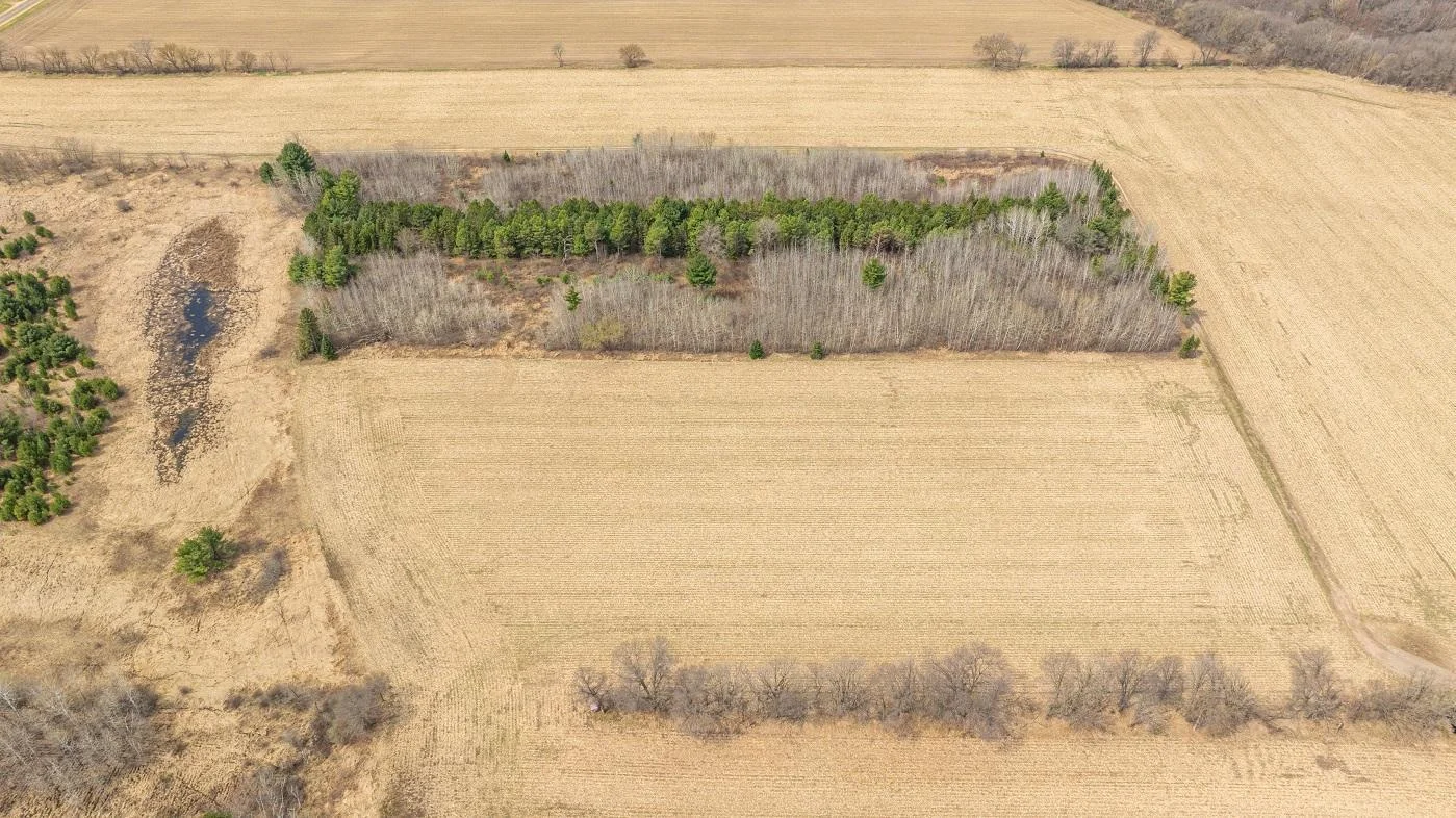 DJI_20250424113712_0679_D.jpg