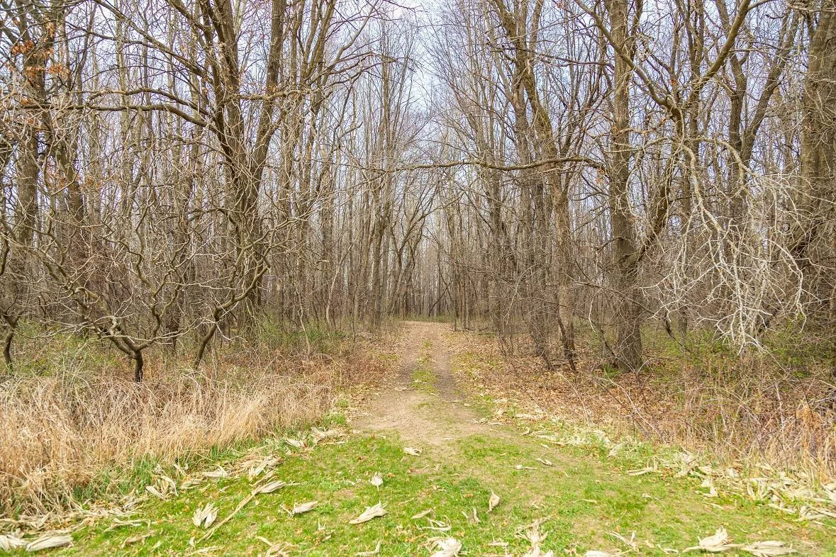 3F9A0048.jpg