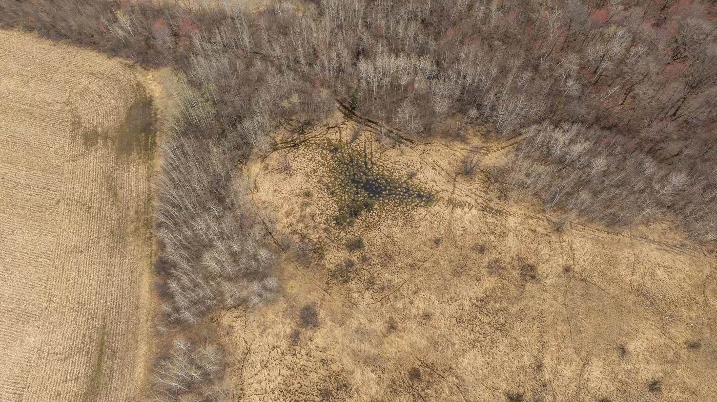 DJI_20250424112957_0655_D.jpg