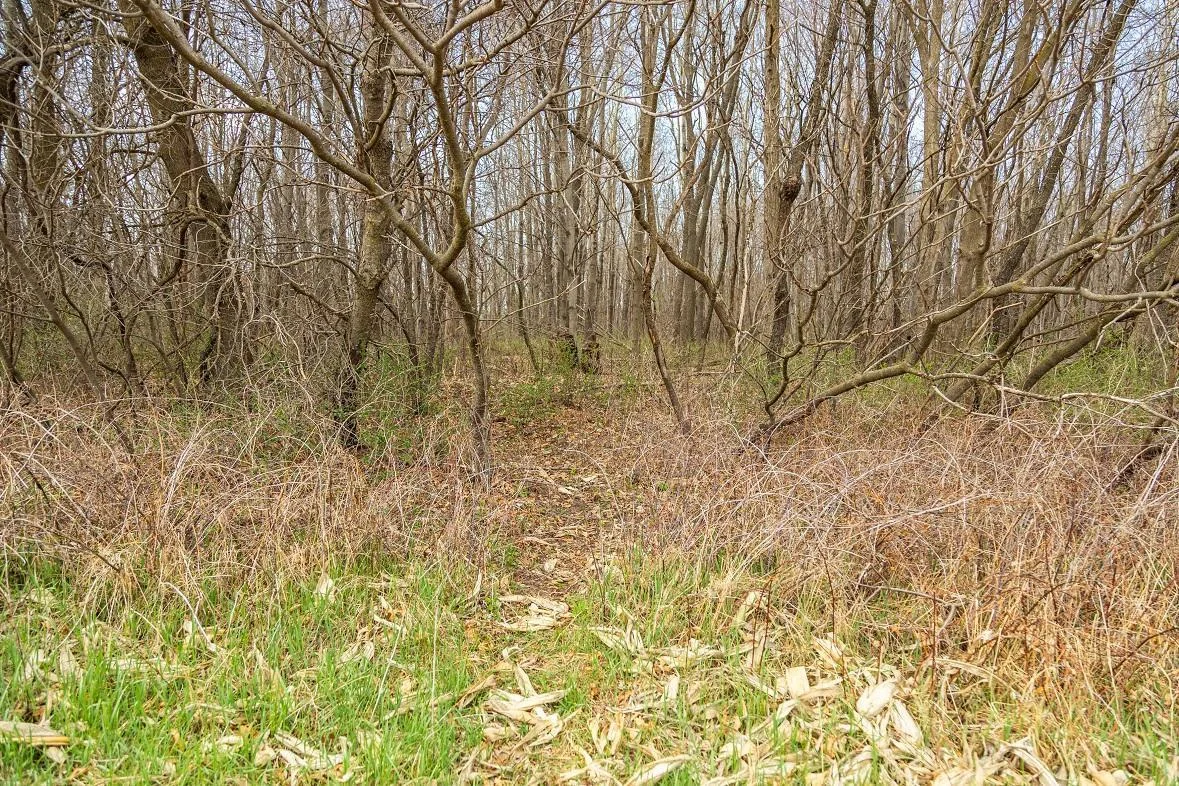 3F9A0047.jpg