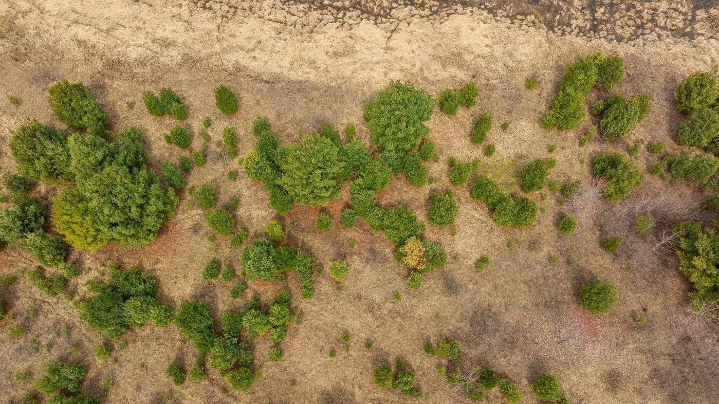 DJI_20250424112717_0648_D.jpg