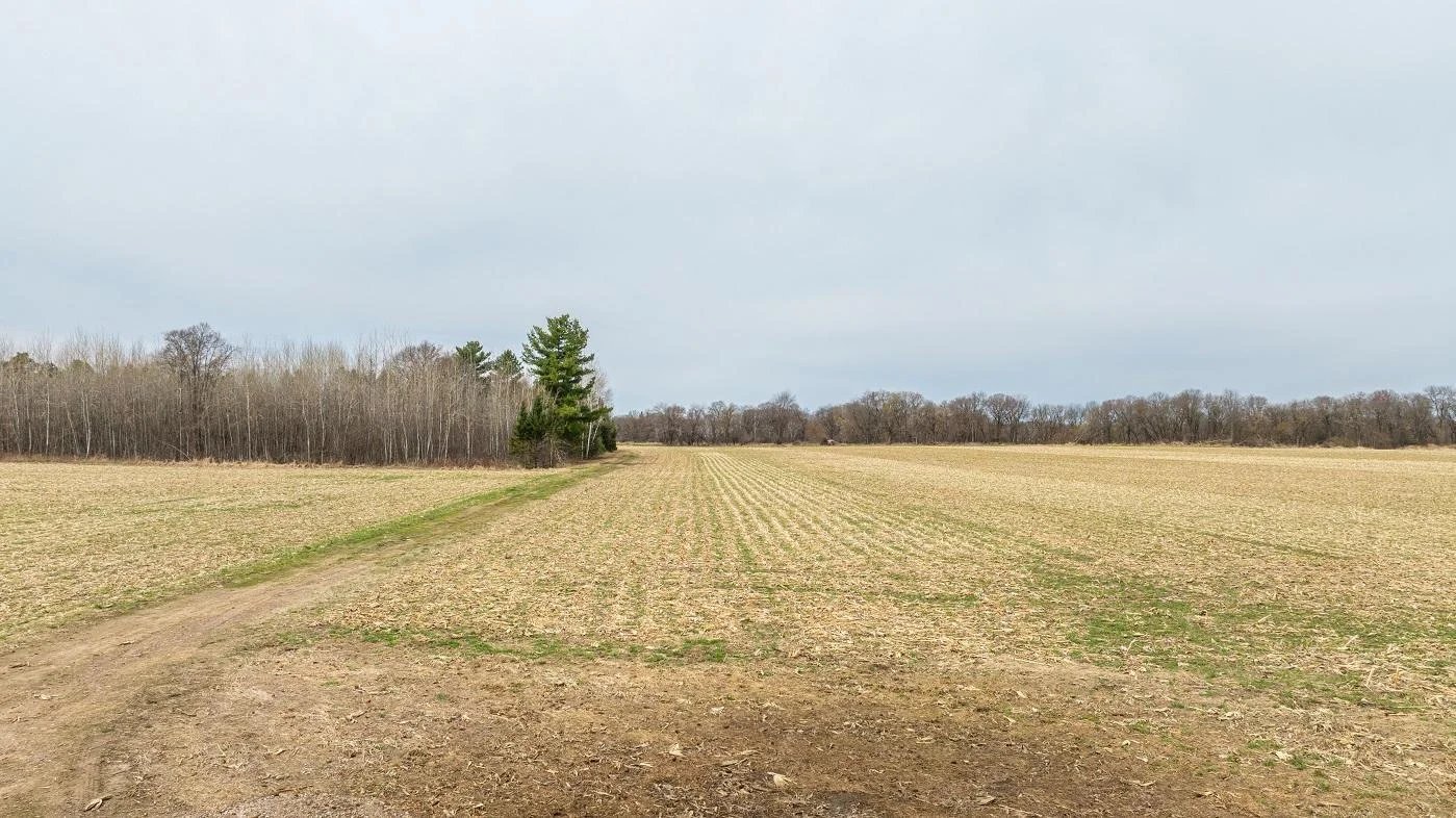 DJI_20250424112018_0630_D.jpg