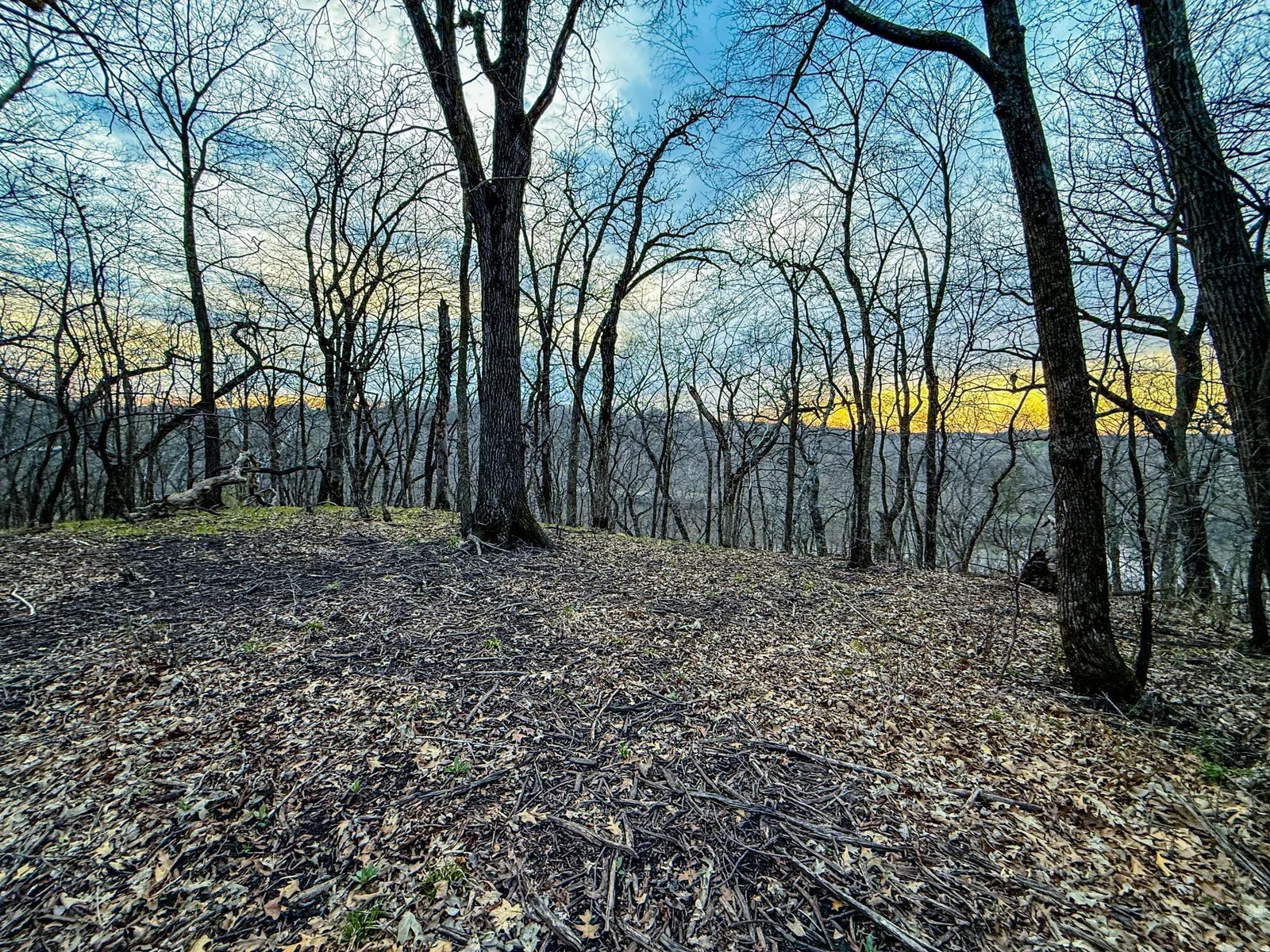 Olmsted Parcel 3-11.jpg