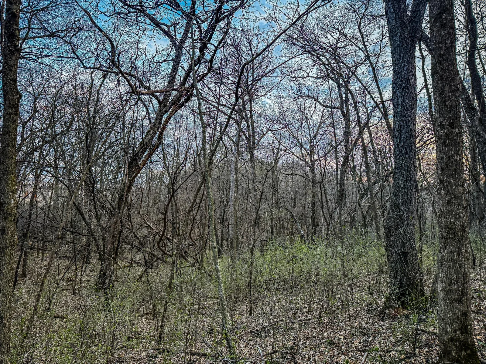 Olmsted Parcel 3-13.jpg
