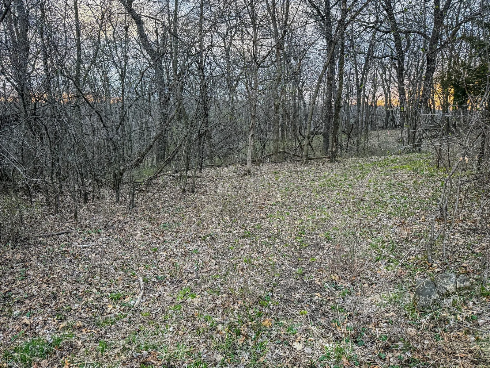 Olmsted Parcel 3-10.jpg