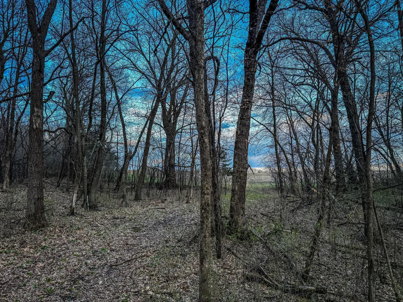 Olmsted Parcel 3-14.jpg