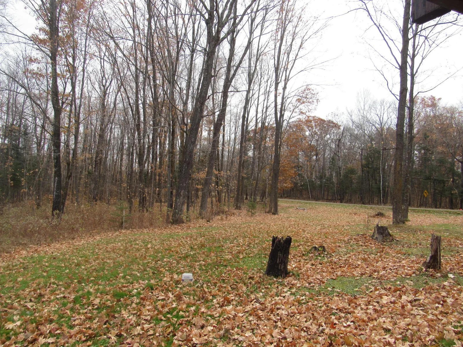 Thumbnail photo 27