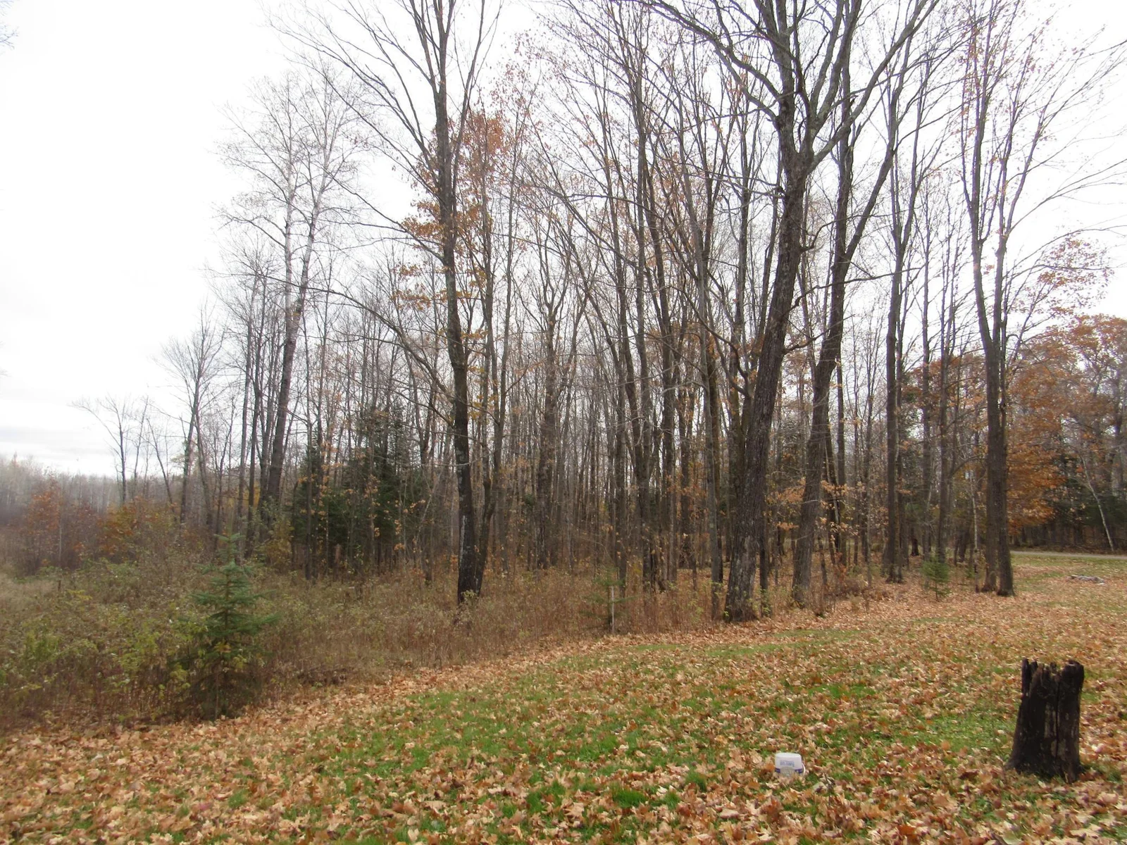Thumbnail photo 29