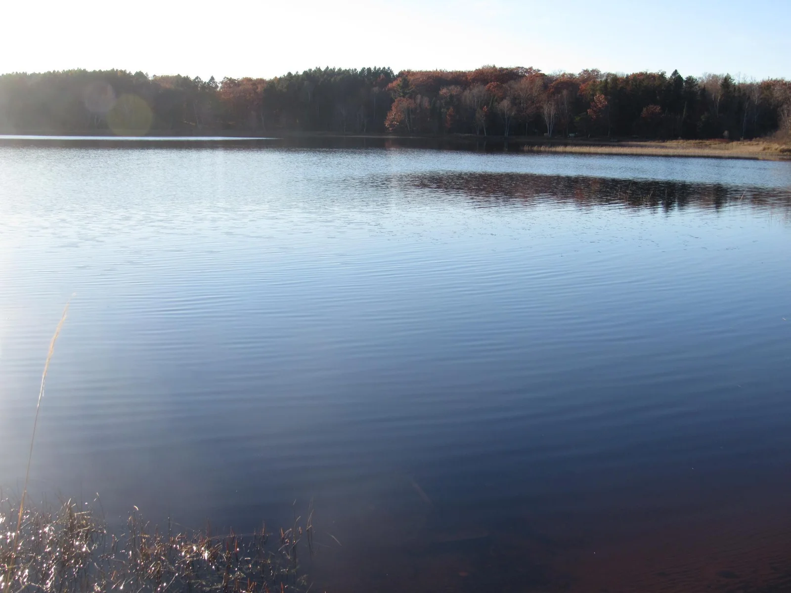 Thumbnail photo 6