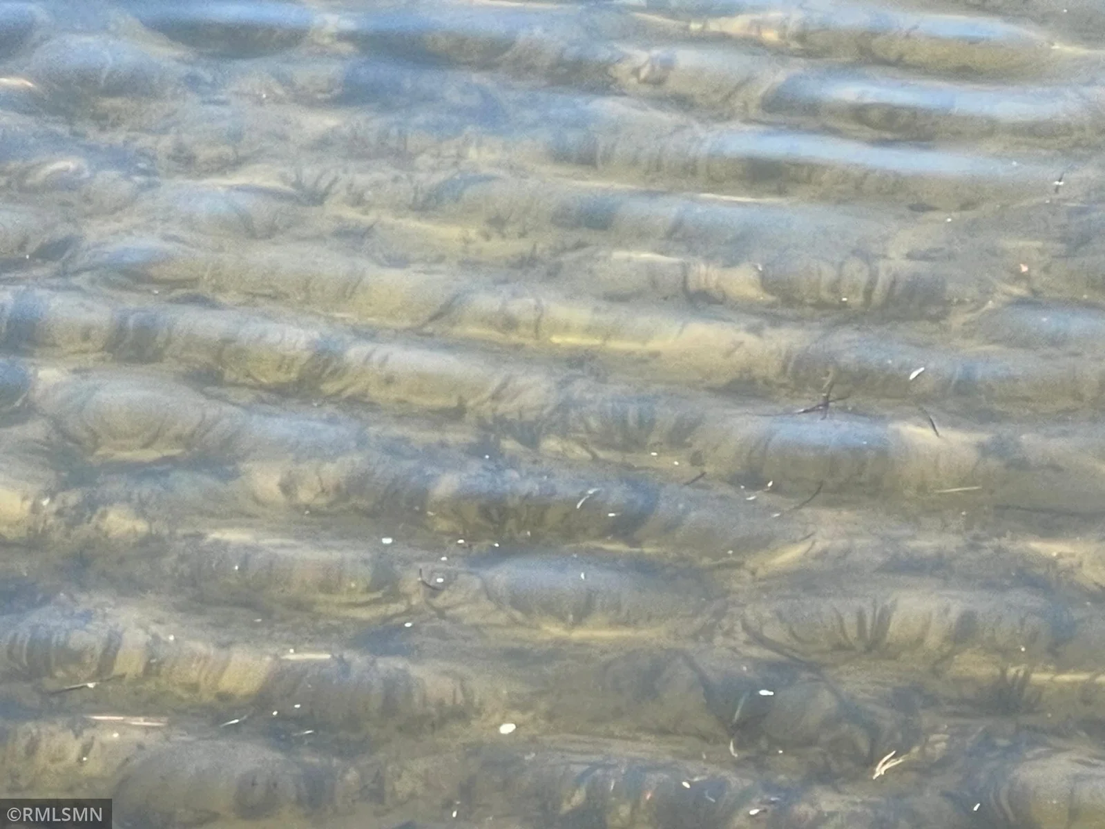 Sandy Shoreline