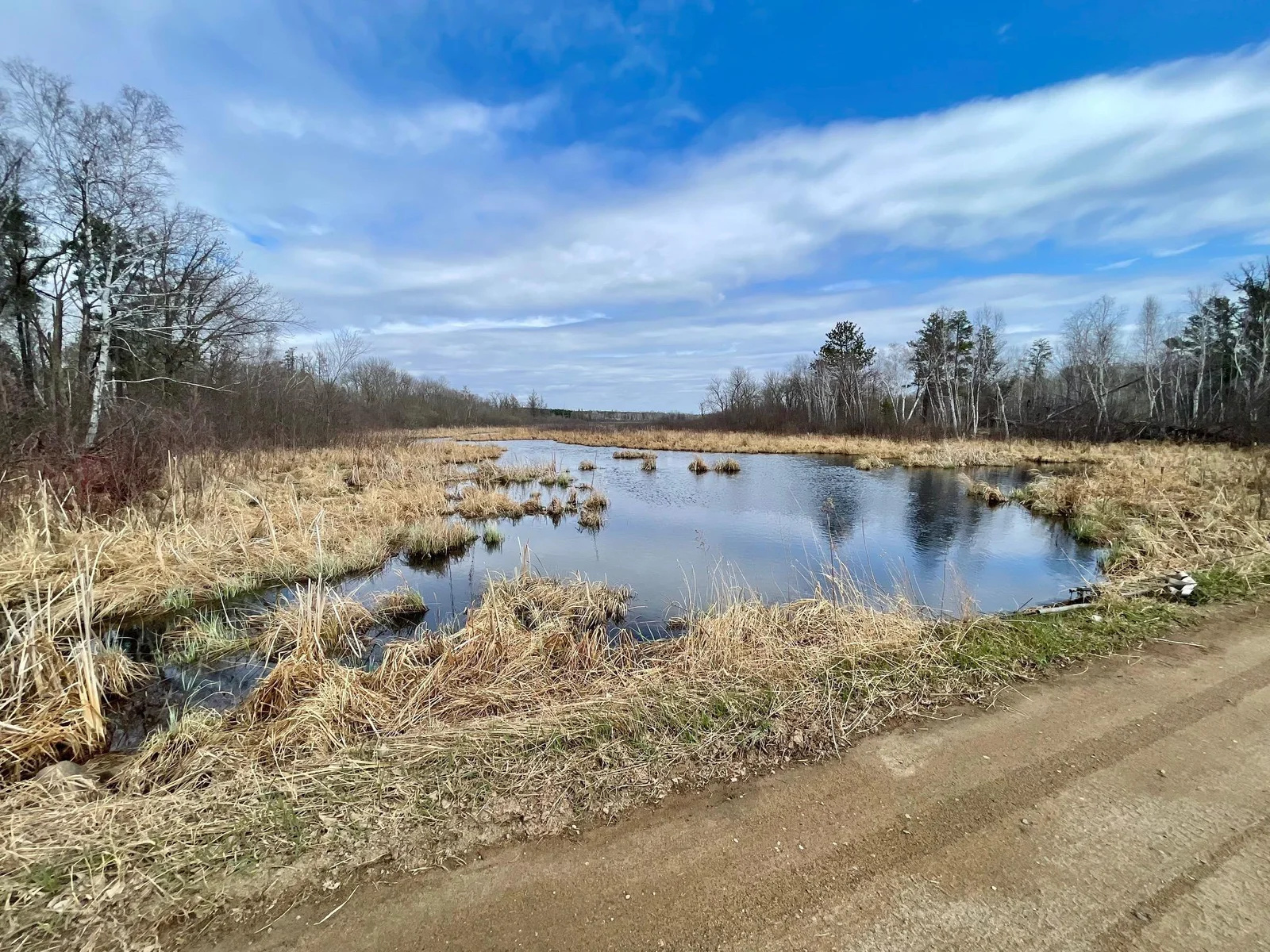 Pillager Creek from Road3.jpg