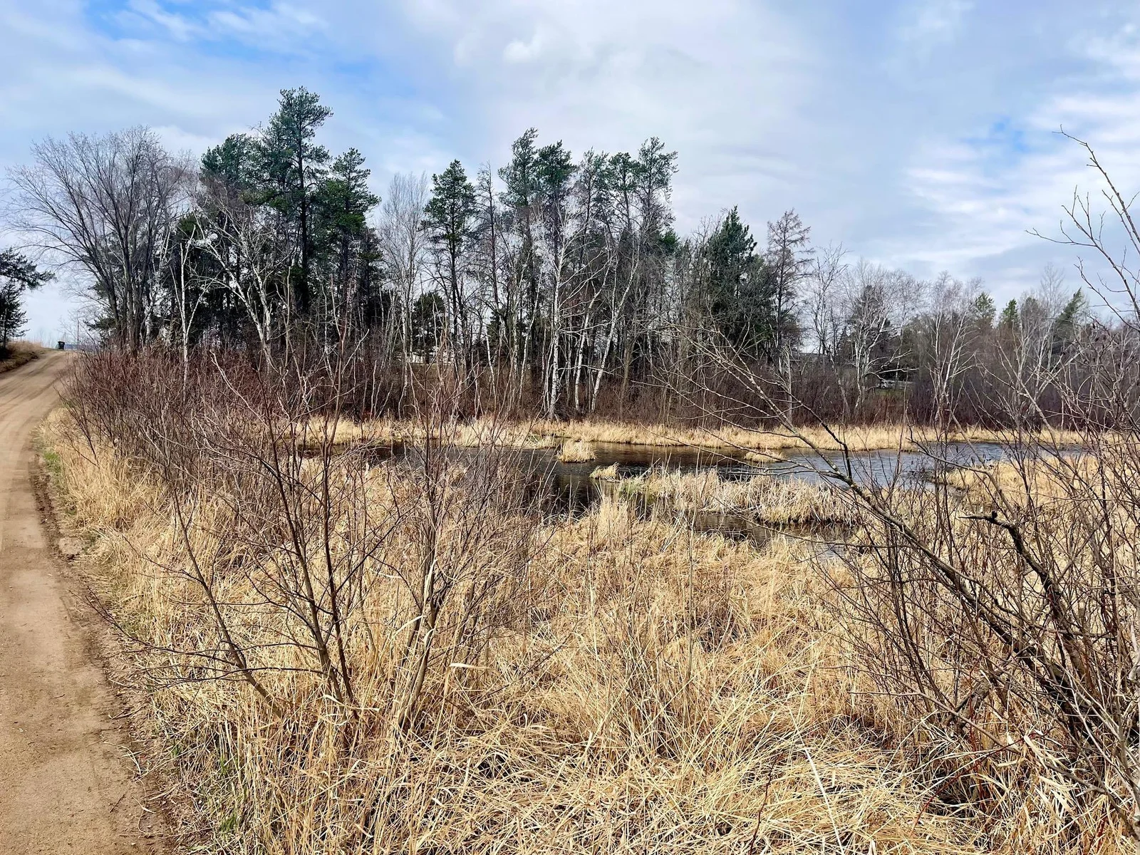 Pillager Creek from Road.jpg
