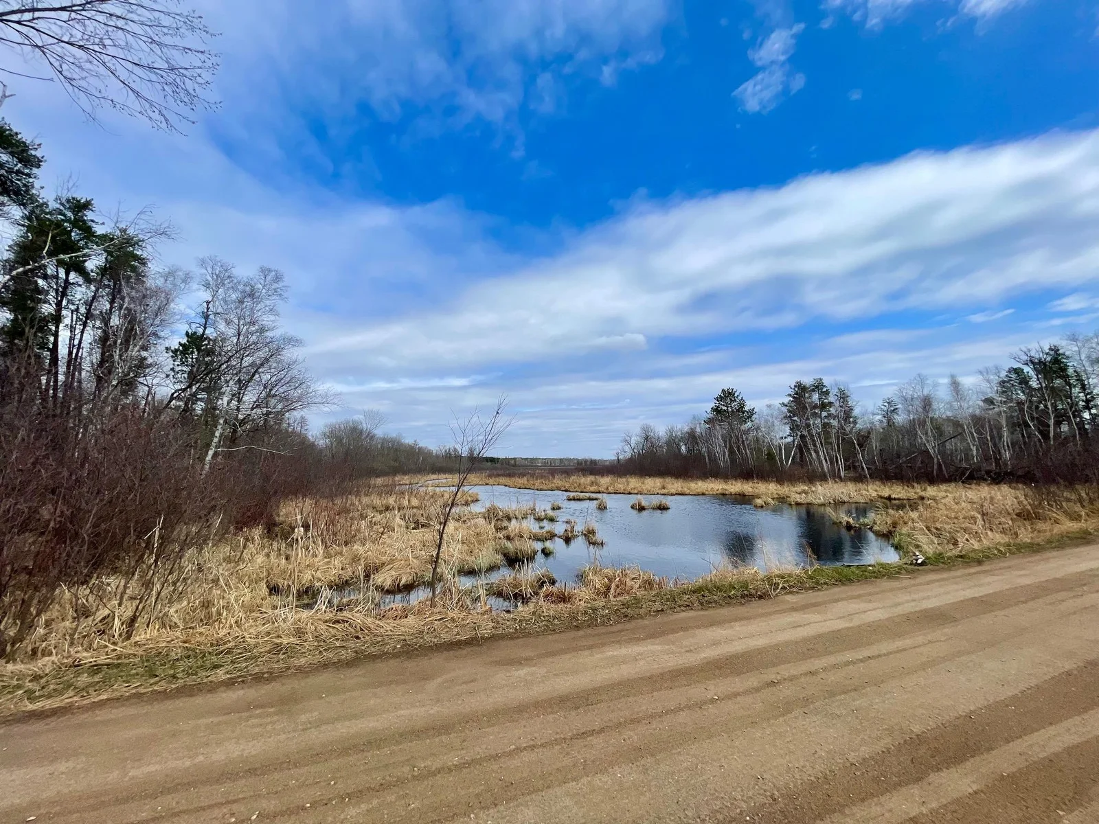 Pillager Creek from Road2.jpg