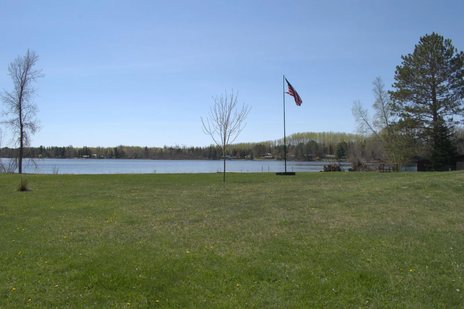 Back yard