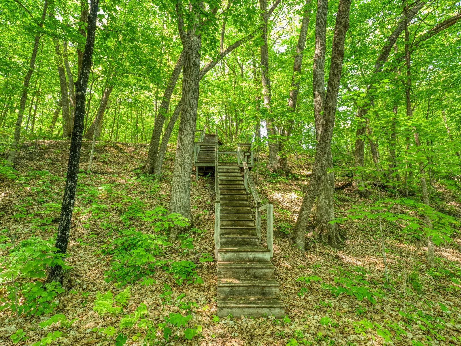 Stairs from the lake
