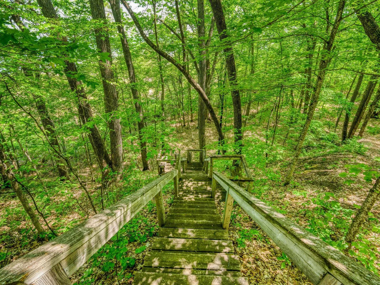 Stairs to the lake