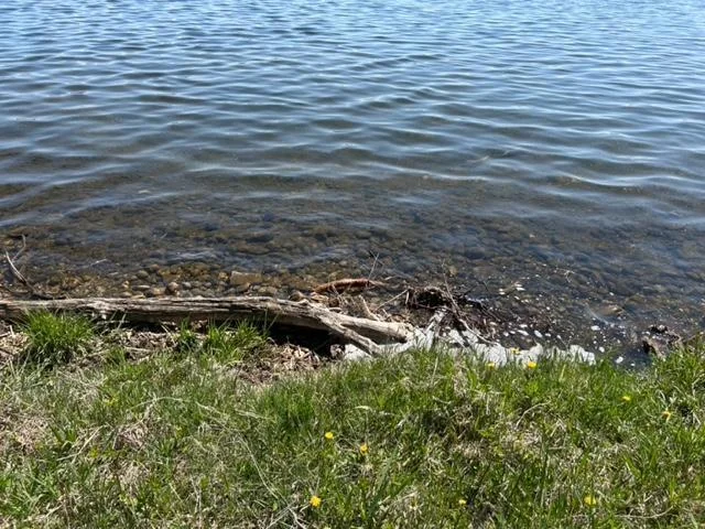 Thumbnail photo 6