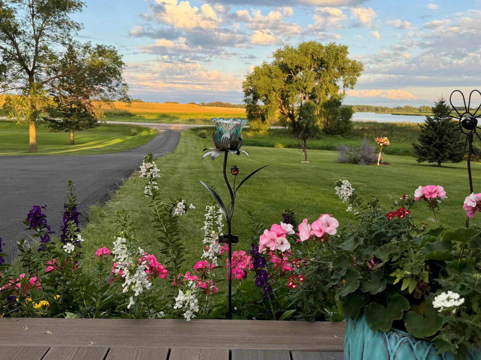 Front Yard