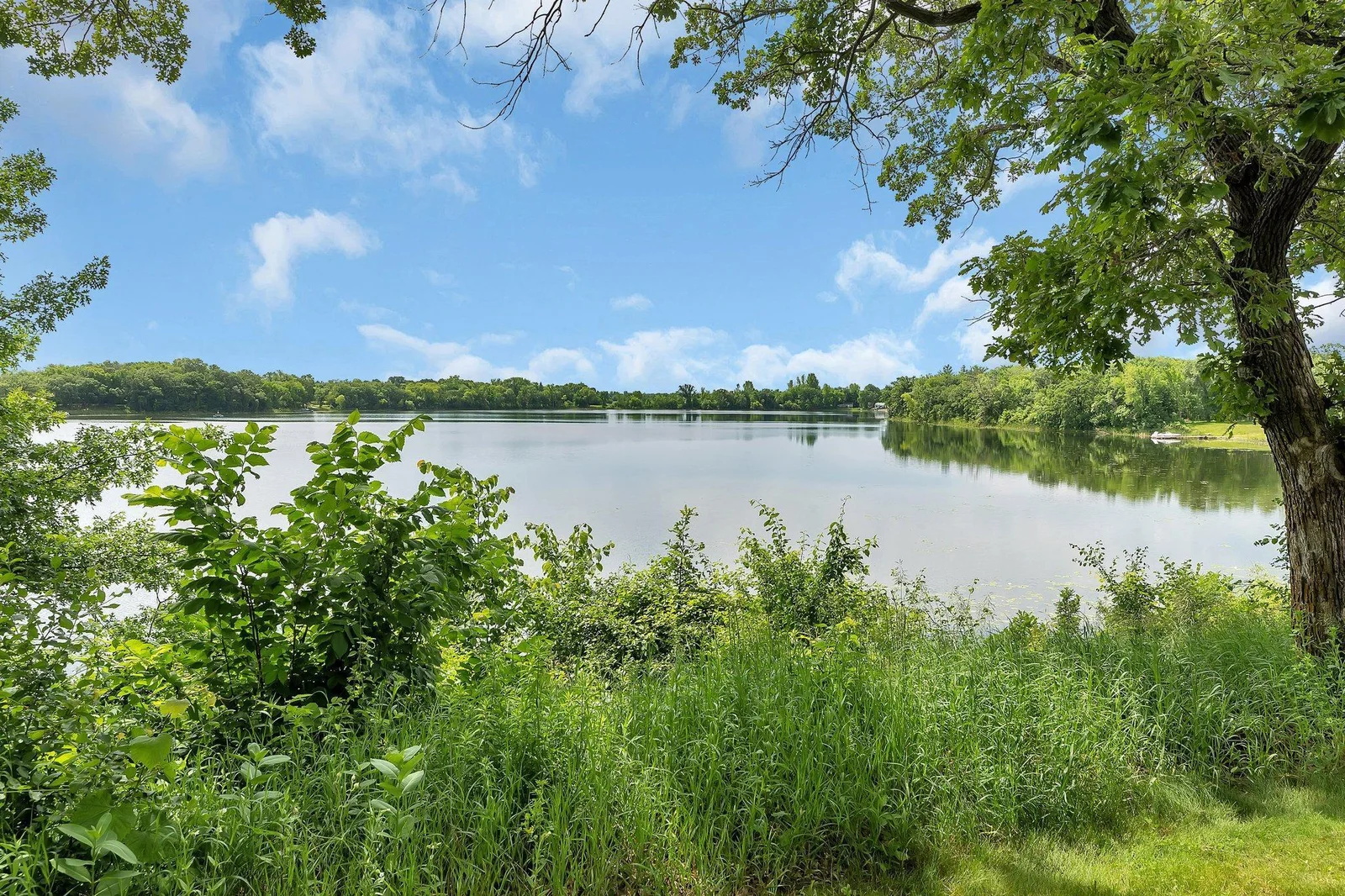 Lake view