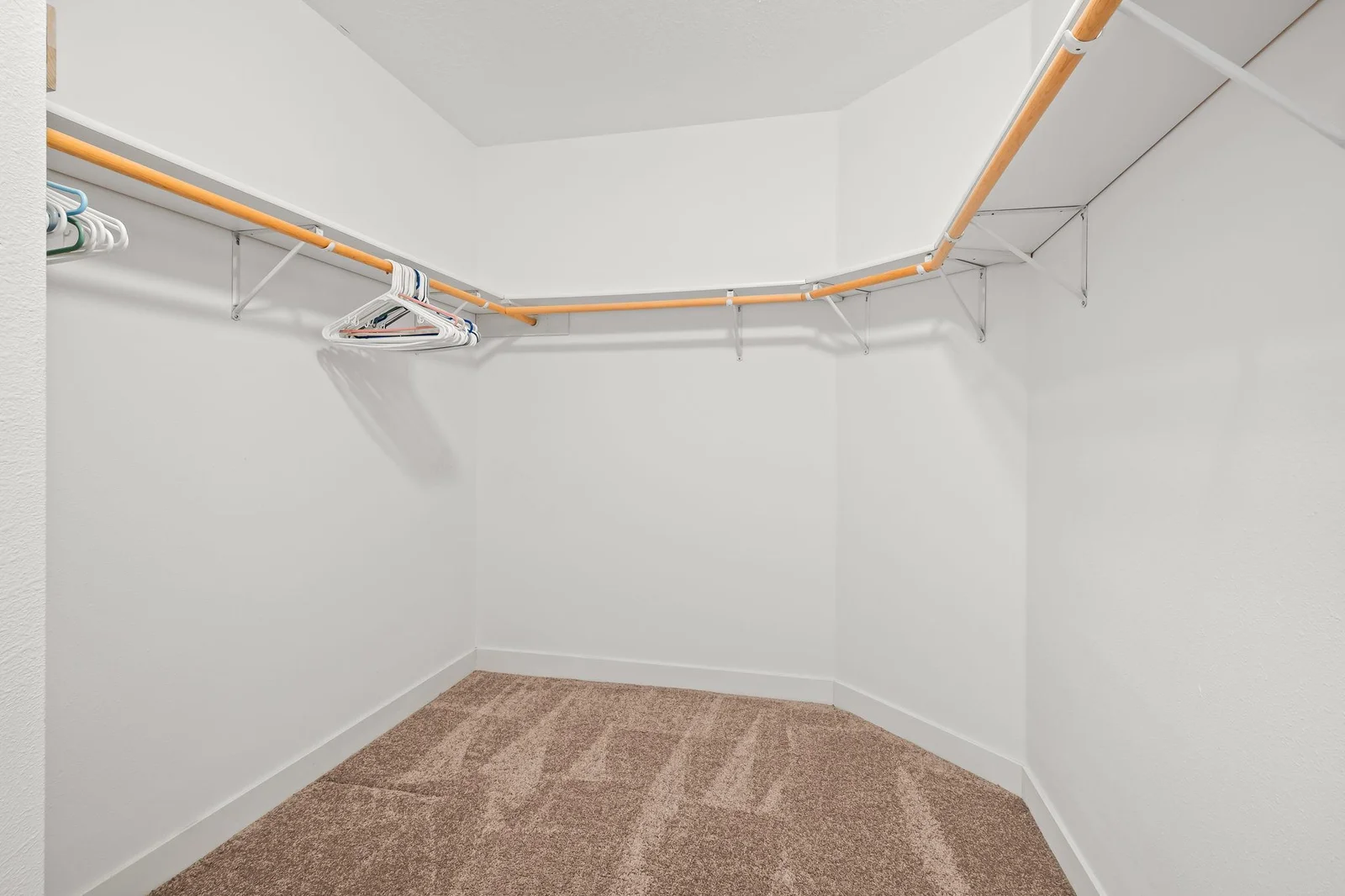 Large Walk-in Closet