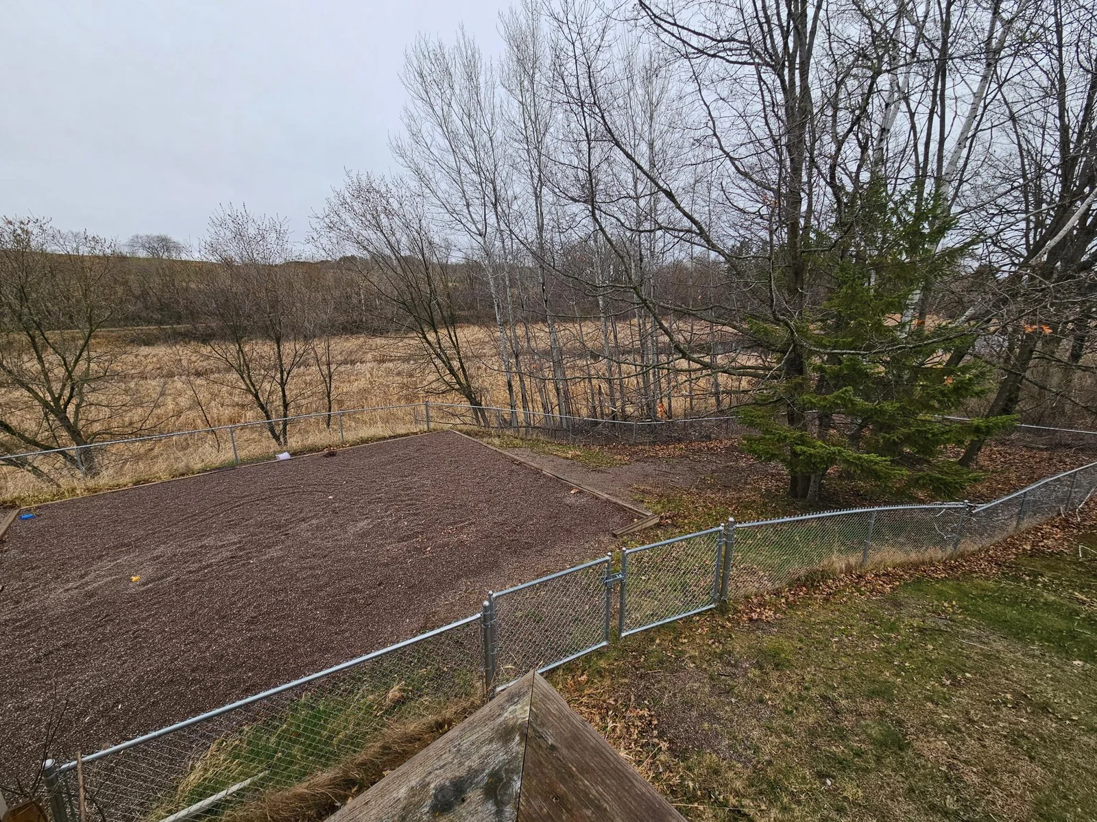 20250429_095707.jpg