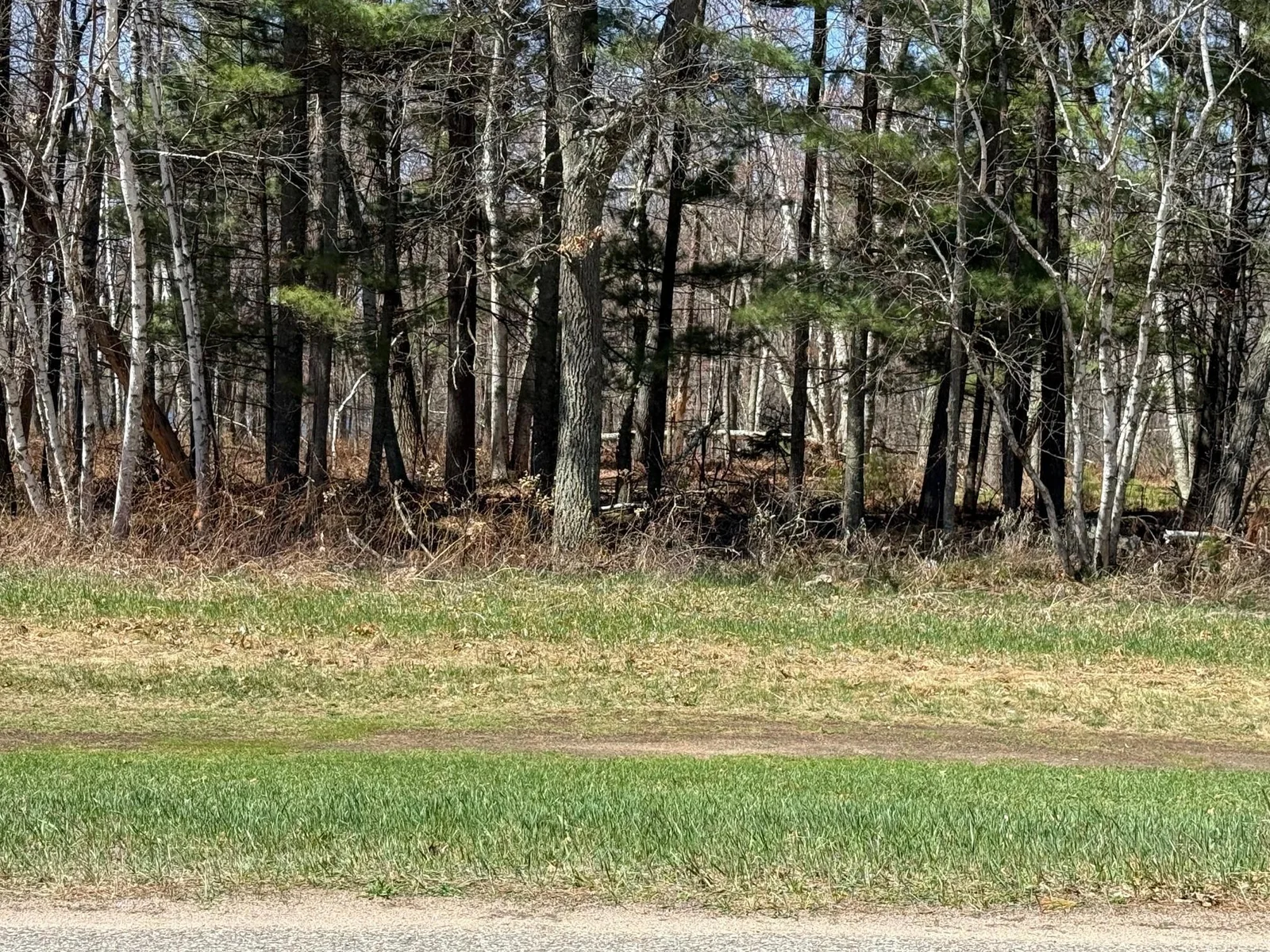 Photo 1 of County Road 4
