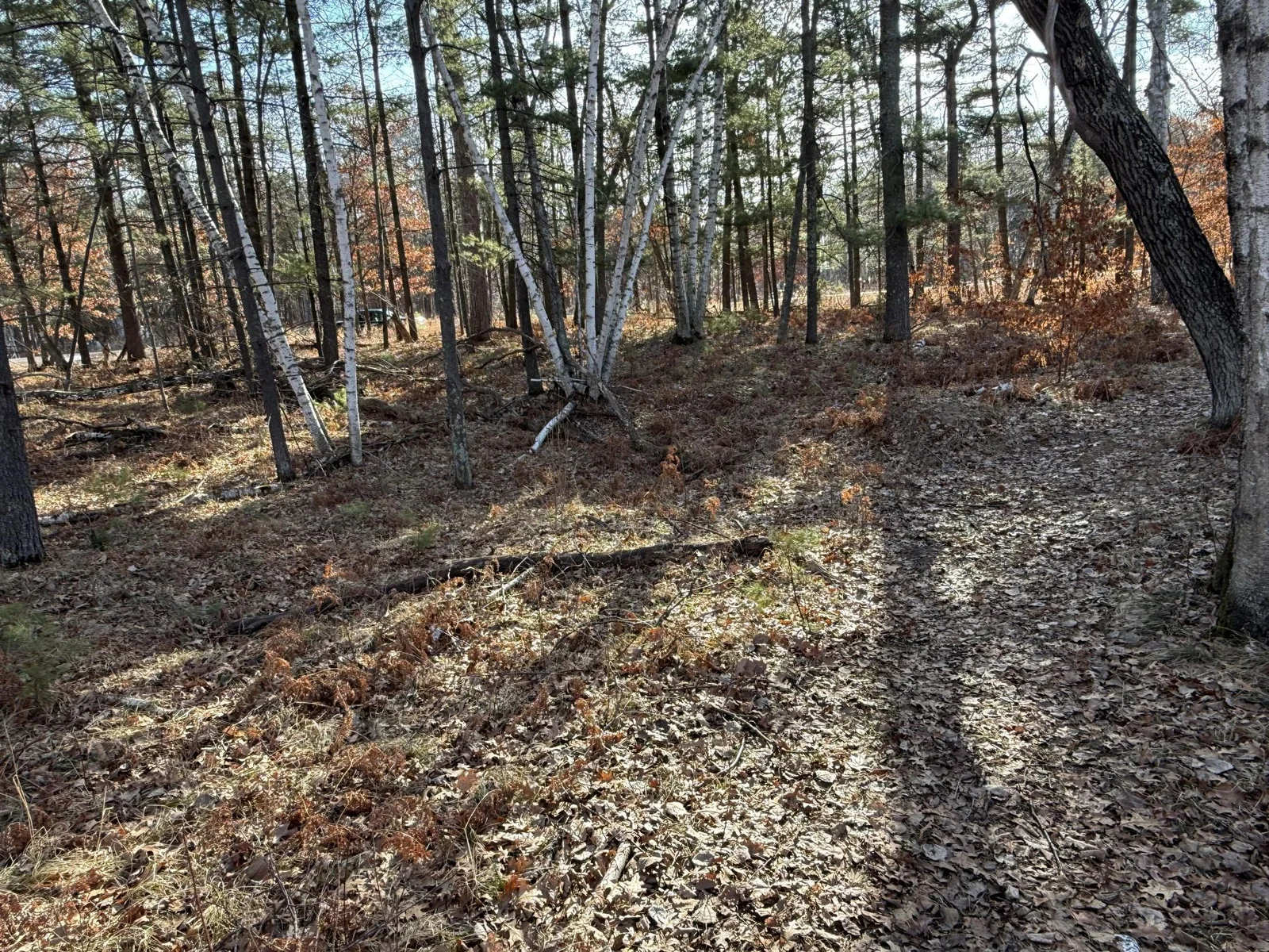 Thumbnail photo 6
